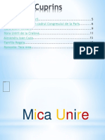 Informatica-Mica Unire