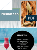 Kelompok 8 Nematoda