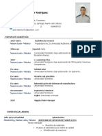 Roberto Saldivar_IIN.pdf