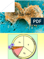 06 Cell Division INTROBIO PDF
