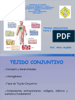 Tejido conjuntivo: tipos, componentes y funciones