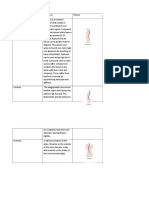 Postural Defect-WPS Office