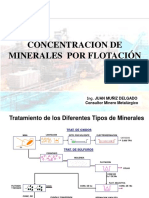 Concentracion de Minerales 1-2013
