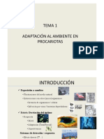 TemaIMIM19_20.pdf