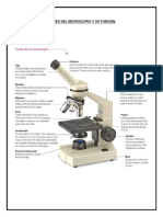 Partes Del Microscopio y Su Función