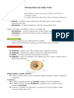 resumo a organización dos seres vivos 6 primaria.odt