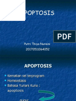 Apoptosis