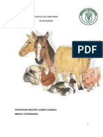 Apostila Anatomia Dos Animais Domésticos