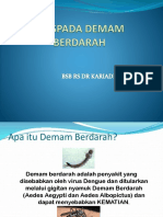 PKMRS_Waspada Demam Berdarah