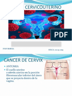 Cancer Cervicouterino Solca 1