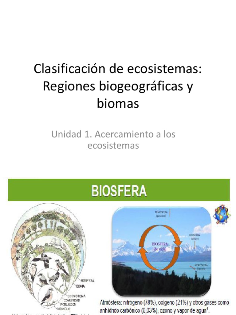 Clase 3 Regiones Biogeograficas y Biomas | PDF | Desierto | Biogeoquímica