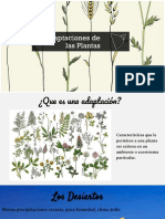 Adaptaciones de Las Plantas