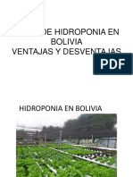 2. Hidroponia Ventajas desventajas.pdf