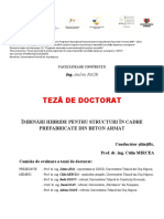 TEZA - Andrei FAUR PDF