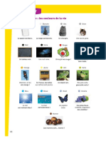 DELF Prim A1.1  17 Fév activités couleurs Exo.pdf