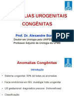 #1 - Anomalias Congenitas