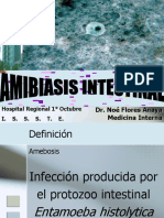 Amibiasis Intestinal