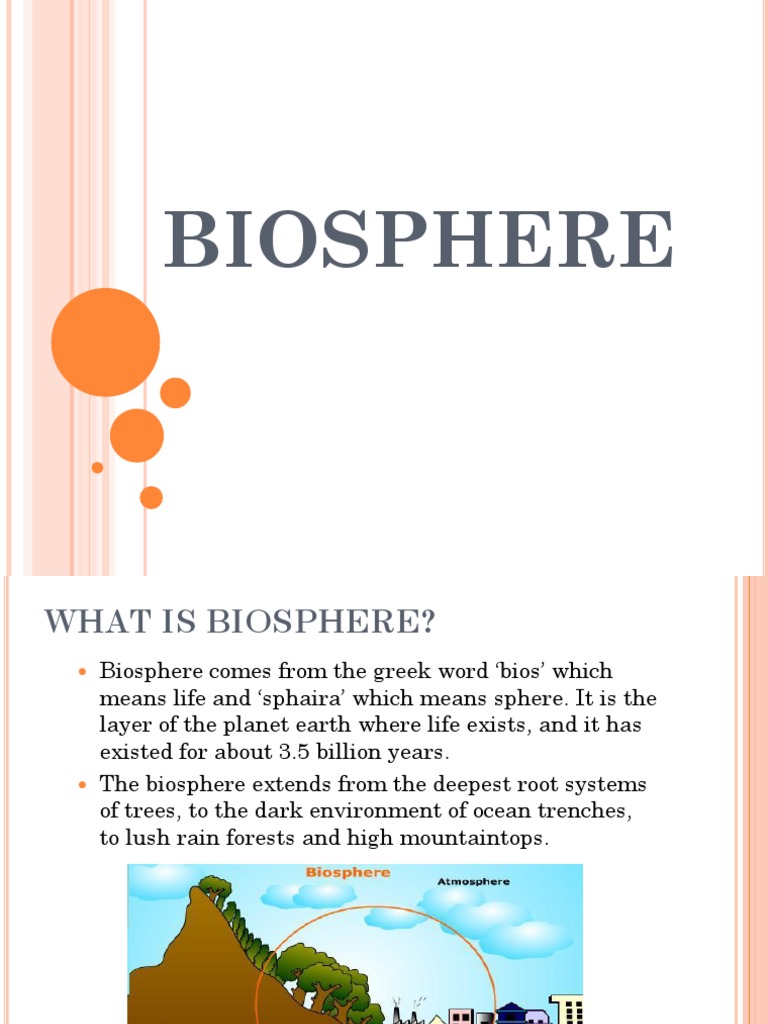 What 2024 is biosphere
