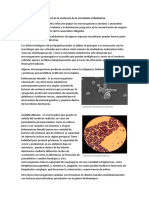 Determinantes Bioquímicos de La Virulencia de La Microbiota Endodontica