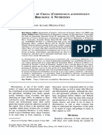 Ross Ibarra - Molina Cruz 2002 PDF