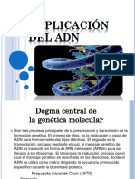 replicacion del adn.pptx