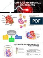 Infografia de Conduccion Electrica