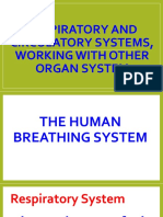 1.  Respiratory System