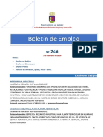 Boletin Empleo N 246 PDF