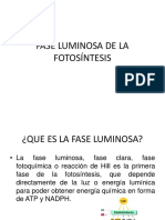 Fase Luminosa de La Fotosíntesis