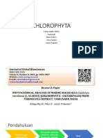 CHLOROPHYTA