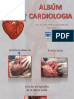 Album de Cardiologia