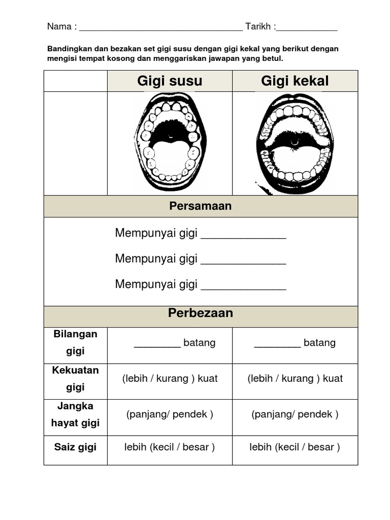 Lembaran Kerja Gigi Pdf