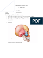 TUGAS PRAKTIKUM OSTEOLOGI 1 BOD 2020