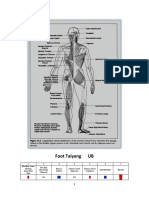 VesselsMuscles.pdf