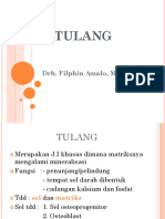 Tulang