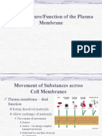 Movement of substances across plasma membranes