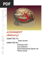 Download Front Page Final by Muhammad Qasim Ali Bokhari SN44754479 doc pdf