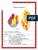 Planificare Fructe de Toamna