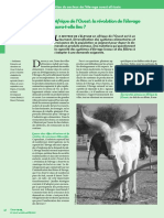 pdf_p12_15_Cadrage_dossier