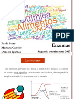 05b Enzimas PDF