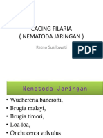 Cacing Filaria