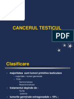 Curs10 C.testicul