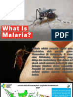 flipchart Malaria.pptx