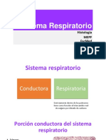 sistemarespiratorioteoria-140216182500-phpapp01