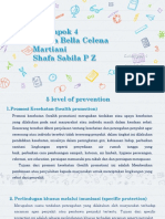 Promosi Kesehatan (5 Level of Prevention)