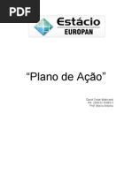Plano de Ação - 23 11 2010