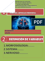 Presentacion Articulo Neuroanato