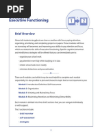 Modules For Executive Functioning