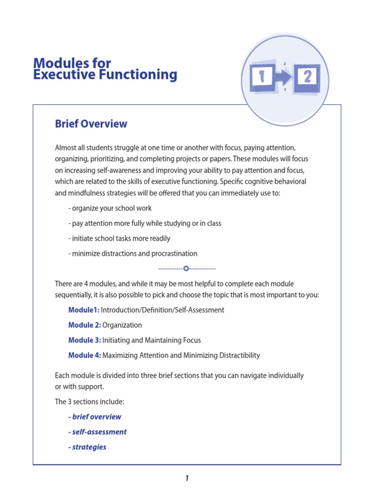 Modules For Executive Functioning | PDF