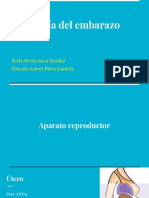 Fisiología Del Embarazo PDF